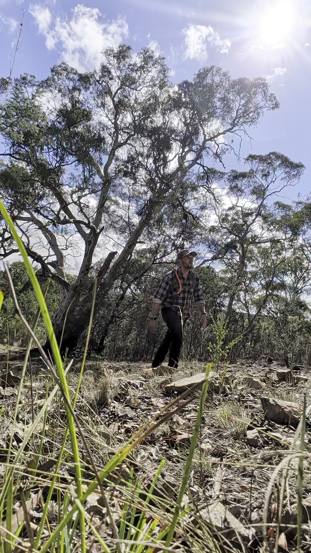 Walking through the Victorian bush at the Immersion